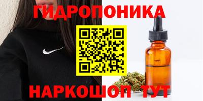 дживик Лесосибирск