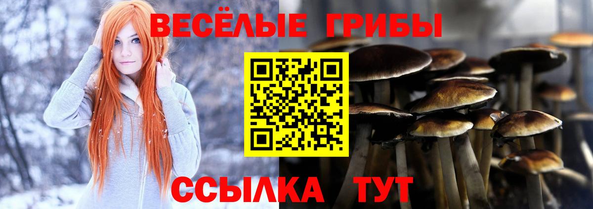 Арсеньев  Галлюциногенные грибы MAGIC MUSHROOMS  Вход с VPN 